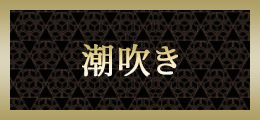 立川 潮吹き【熟女の風俗最終章 立川店